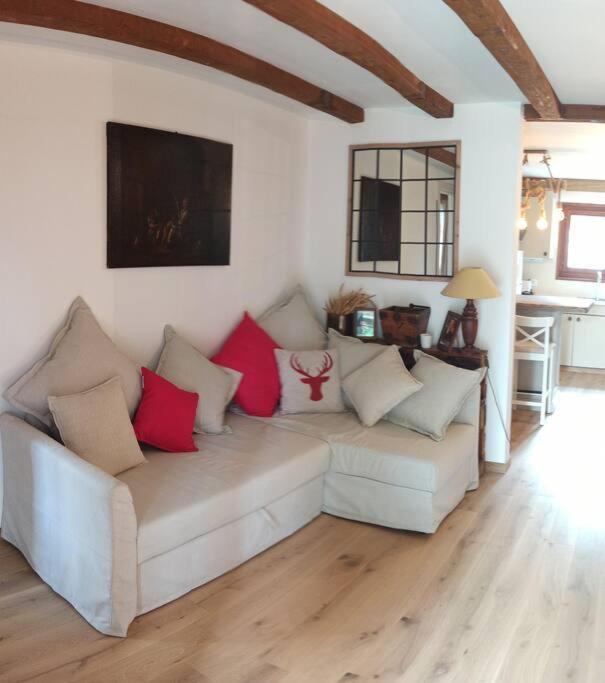 Cozy Apartment In The Heart Of The Alps Chateau-d'Oex Ngoại thất bức ảnh