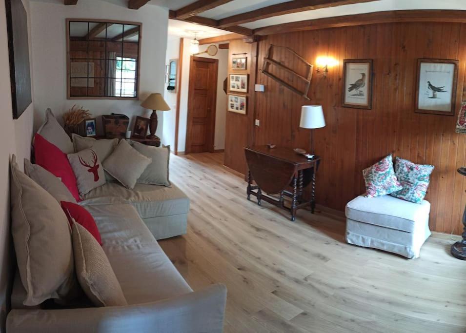 Cozy Apartment In The Heart Of The Alps Chateau-d'Oex Ngoại thất bức ảnh